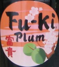 Fuki - Plum Wine NV (750ml) (750ml)