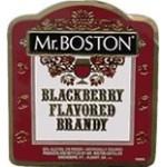 Mr. Boston - Blackberry Flavored Brandy (100ml)